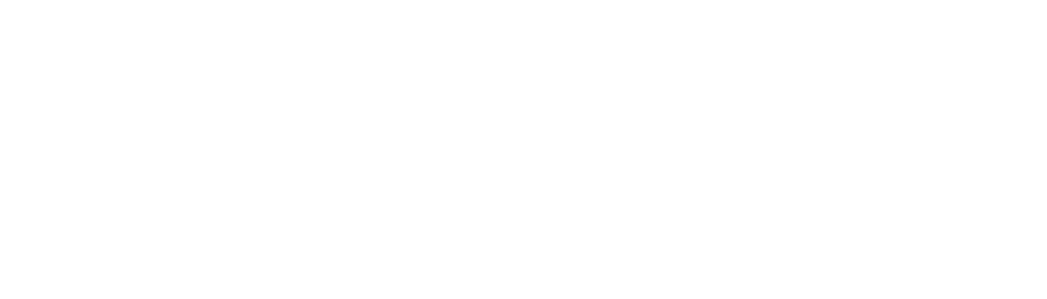 Cyber fusion BRANCO